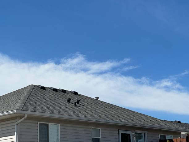 Siding in Arlington, GA